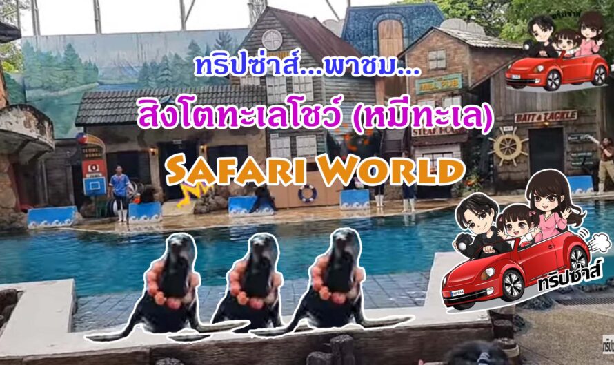 พาชม สิงโตทะเลโชว์ (หมีทะเล) Safari World